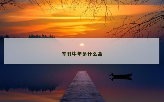 辛丑牛年是什么命