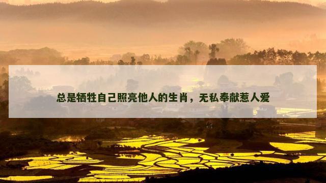总是牺牲自己照亮他人的生肖，无私奉献惹人爱