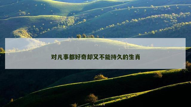 对凡事都好奇却又不能持久的生肖