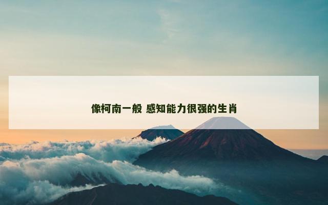 像柯南一般 感知能力很强的生肖