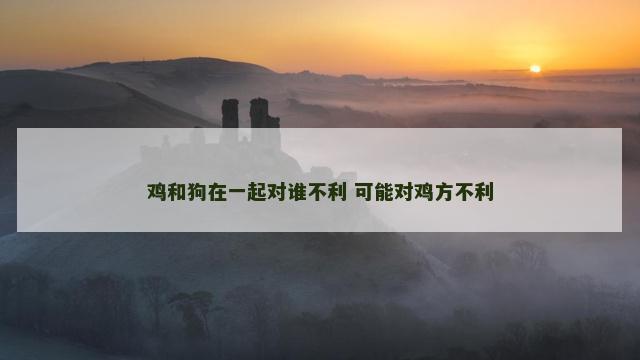 鸡和狗在一起对谁不利 可能对鸡方不利