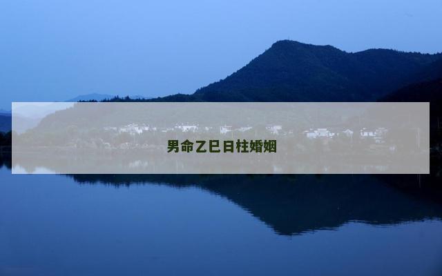 男命乙巳日柱婚姻