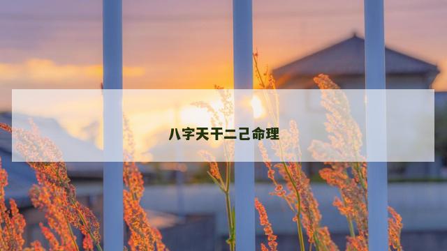 八字天干二己命理