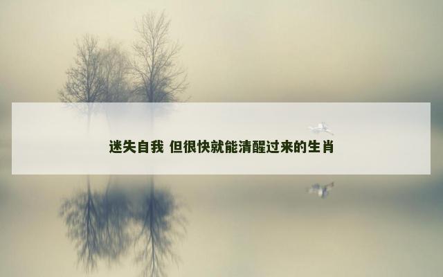 迷失自我 但很快就能清醒过来的生肖