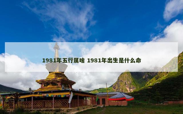 1981年五行属啥 1981年出生是什么命