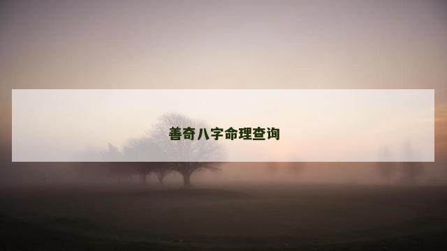 善奇八字命理查询