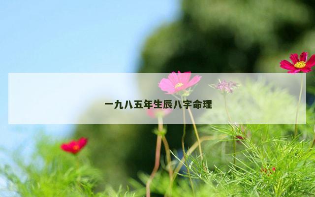 一九八五年生辰八字命理