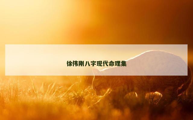 徐伟刚八字现代命理集