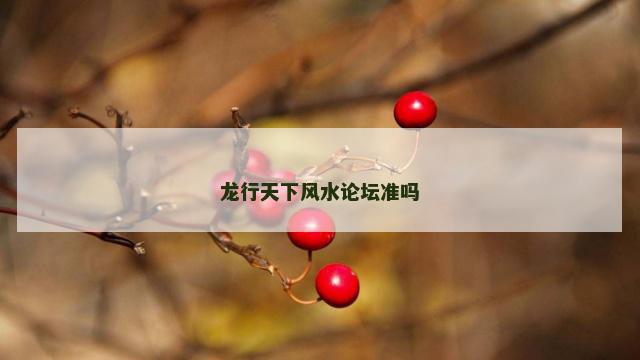 龙行天下风水论坛准吗