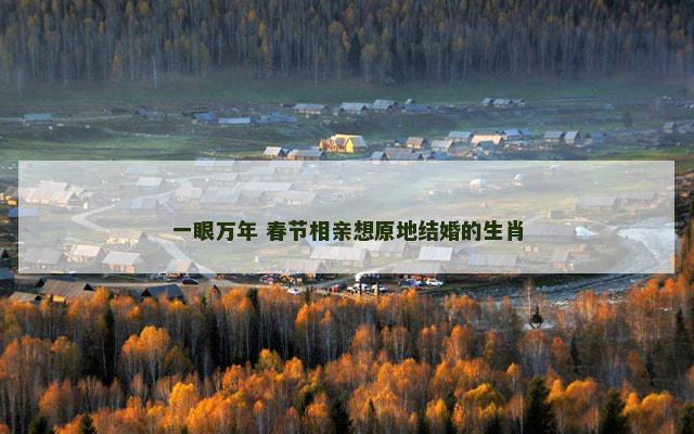 一眼万年 春节相亲想原地结婚的生肖