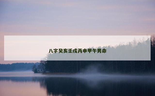 八字癸亥壬戌丙申甲午男命