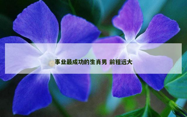 事业最成功的生肖男 前程远大