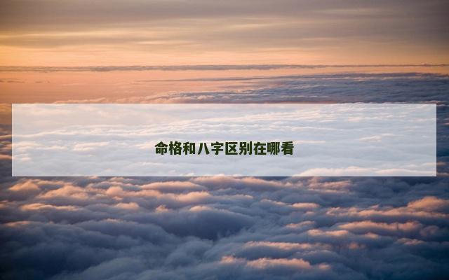 命格和八字区别在哪看