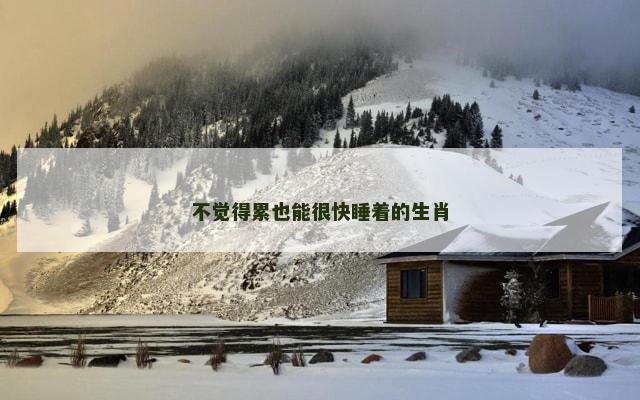 不觉得累也能很快睡着的生肖