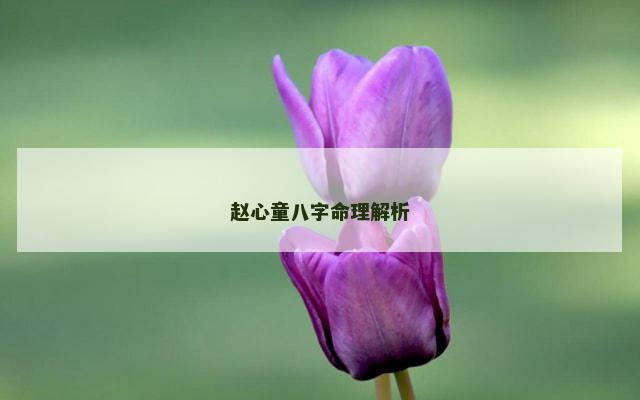 赵心童八字命理解析
