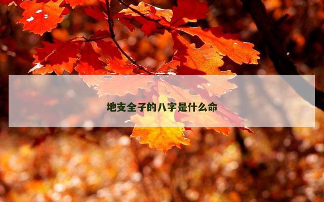 地支全子的八字是什么命