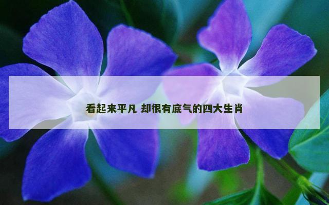 看起来平凡 却很有底气的四大生肖