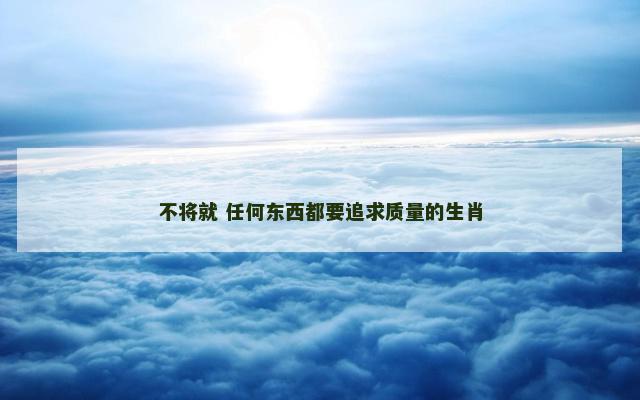 不将就 任何东西都要追求质量的生肖