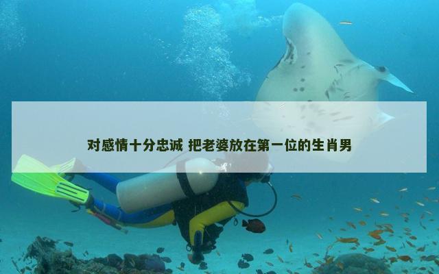 对感情十分忠诚 把老婆放在第一位的生肖男