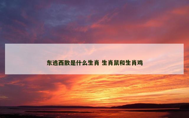 东逃西散是什么生肖 生肖鼠和生肖鸡