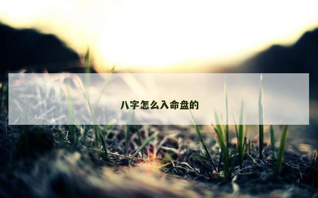 八字怎么入命盘的