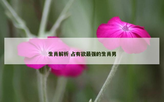 生肖解析 占有欲最强的生肖男