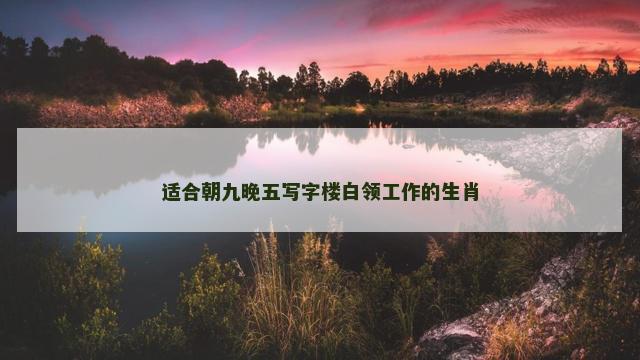 适合朝九晚五写字楼白领工作的生肖
