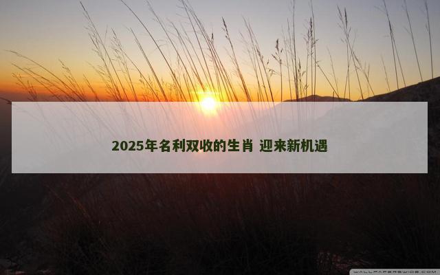 2025年名利双收的生肖 迎来新机遇