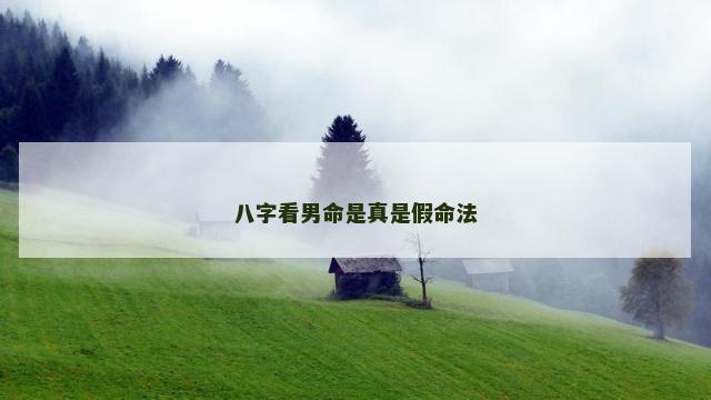 八字看男命是真是假命法