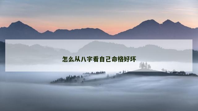 怎么从八字看自己命格好坏