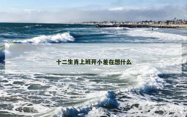 十二生肖上班开小差在想什么