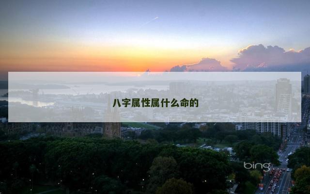 八字属性属什么命的