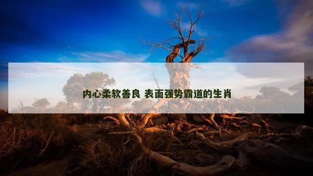 内心柔软善良 表面强势霸道的生肖