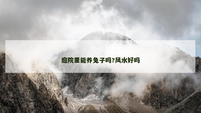 庭院里能养兔子吗?风水好吗