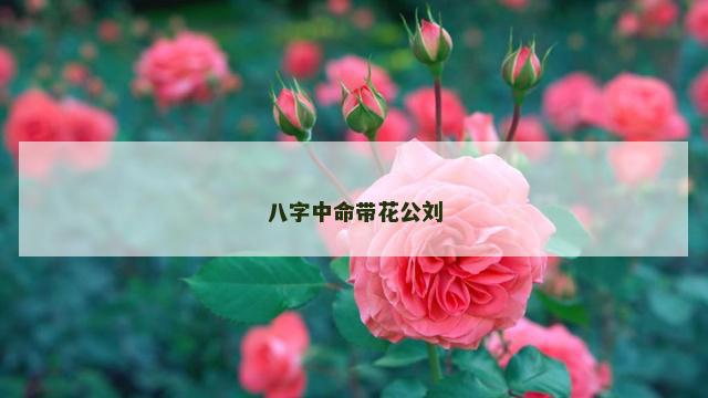 八字中命带花公刘
