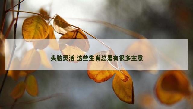 头脑灵活 这些生肖总是有很多主意