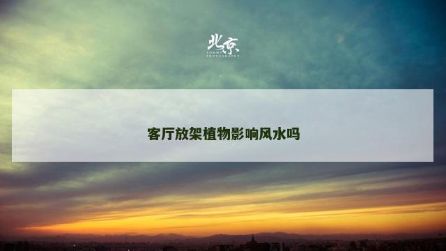 客厅放架植物影响风水吗