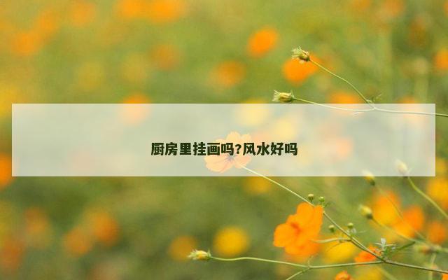 厨房里挂画吗?风水好吗