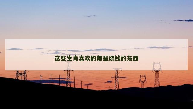 这些生肖喜欢的都是烧钱的东西