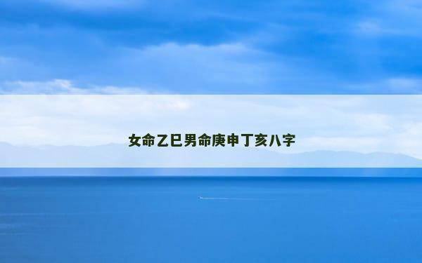 女命乙巳男命庚申丁亥八字