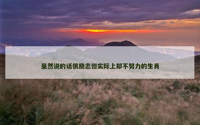 虽然说的话很励志但实际上却不努力的生肖