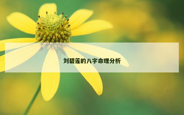刘碧莲的八字命理分析