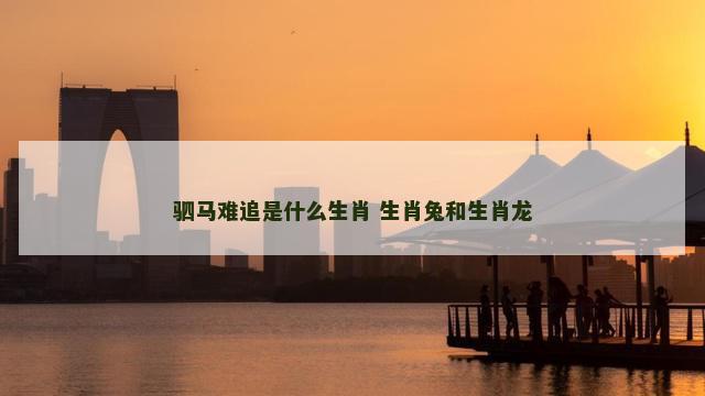 驷马难追是什么生肖 生肖兔和生肖龙