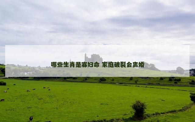 哪些生肖是寡妇命 家庭破裂会离婚