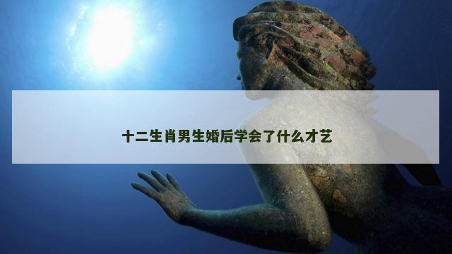 十二生肖男生婚后学会了什么才艺