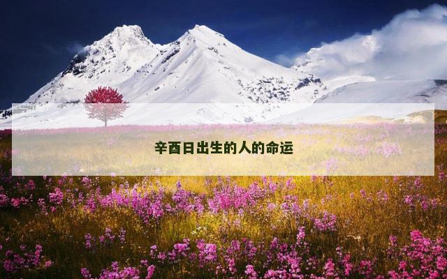 辛酉日出生的人的命运