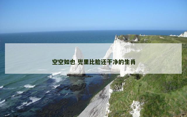 空空如也 兜里比脸还干净的生肖