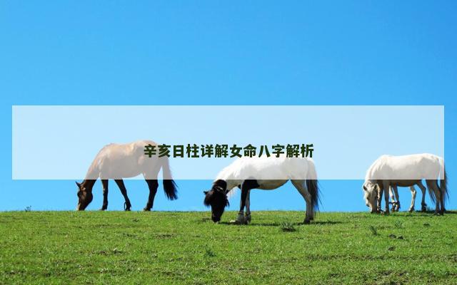 辛亥日柱详解女命八字解析