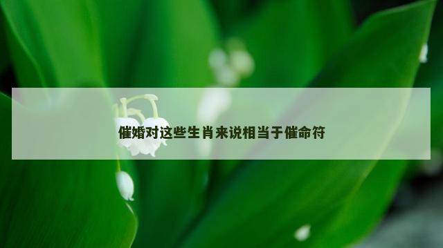 催婚对这些生肖来说相当于催命符
