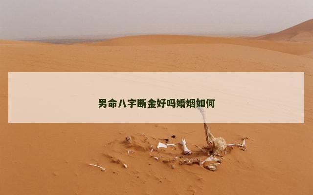 男命八字断金好吗婚姻如何